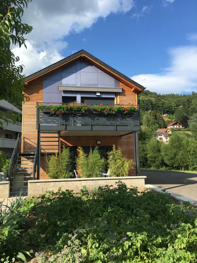 Au Jardin De Lina Apartman Lapoutroie Kültér fotó